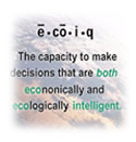 About EcoIQ.com