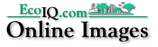EcoIQ Images